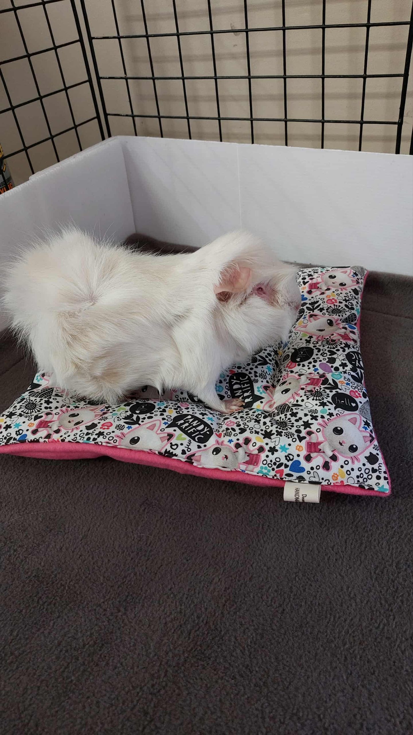 The Pig Pillow READYMADE - Image 6