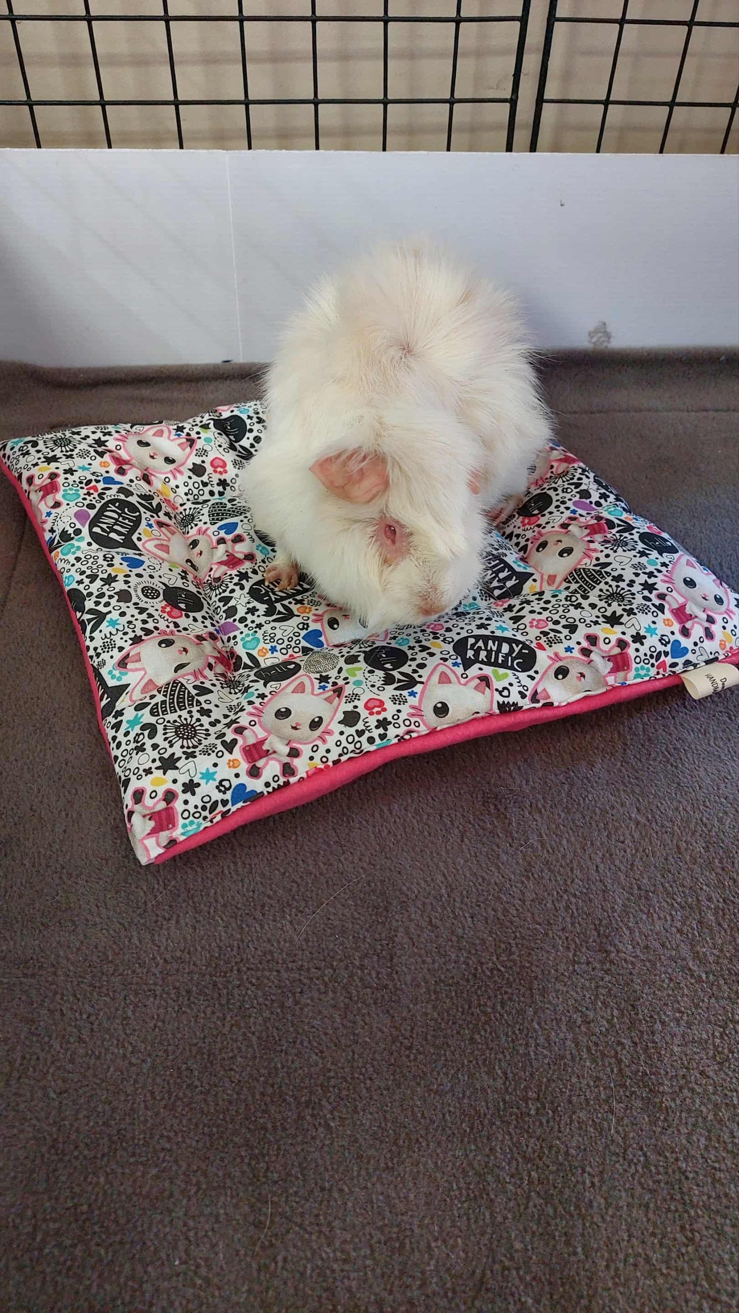 The Pig Pillow READYMADE - Image 9